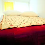 MissOrtelia B&B