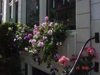 Barrio Gasthuis 3*