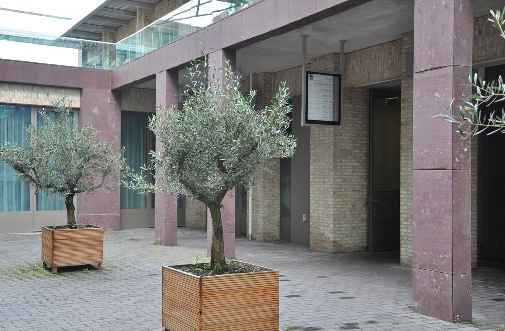 Mosaic Centre