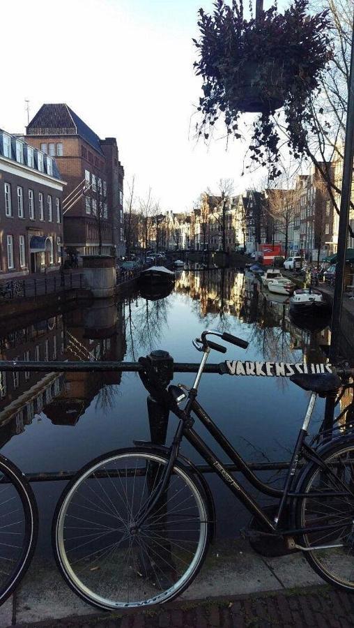 Rho Amsterdam