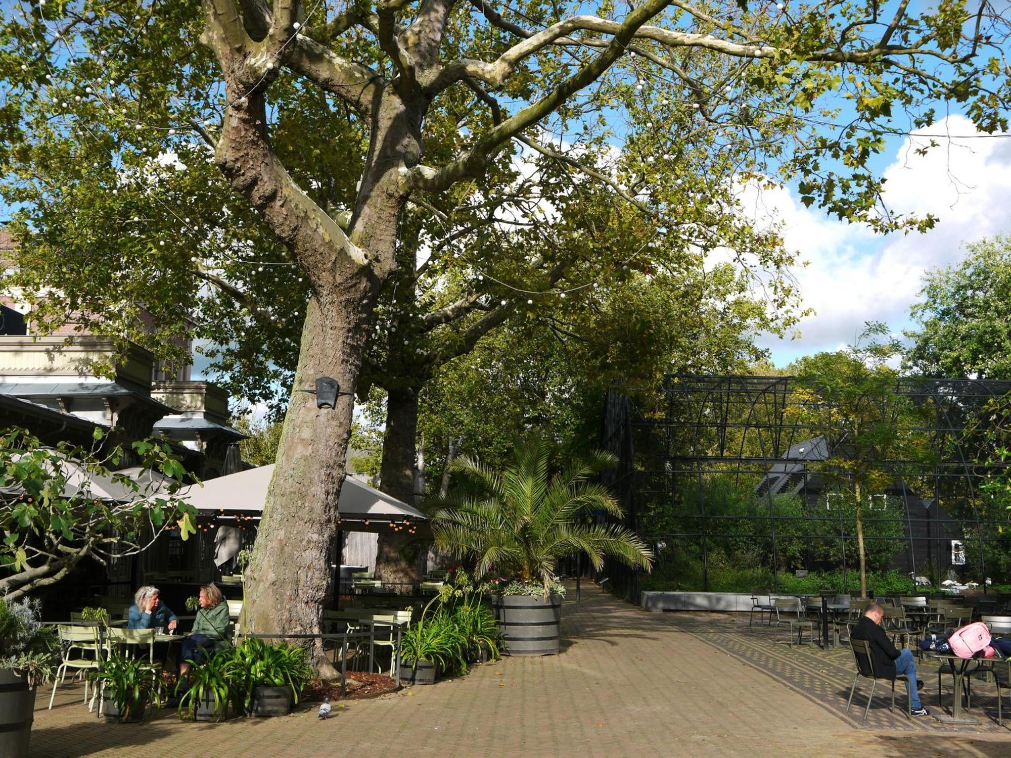 De Jonker Urban & Hotel