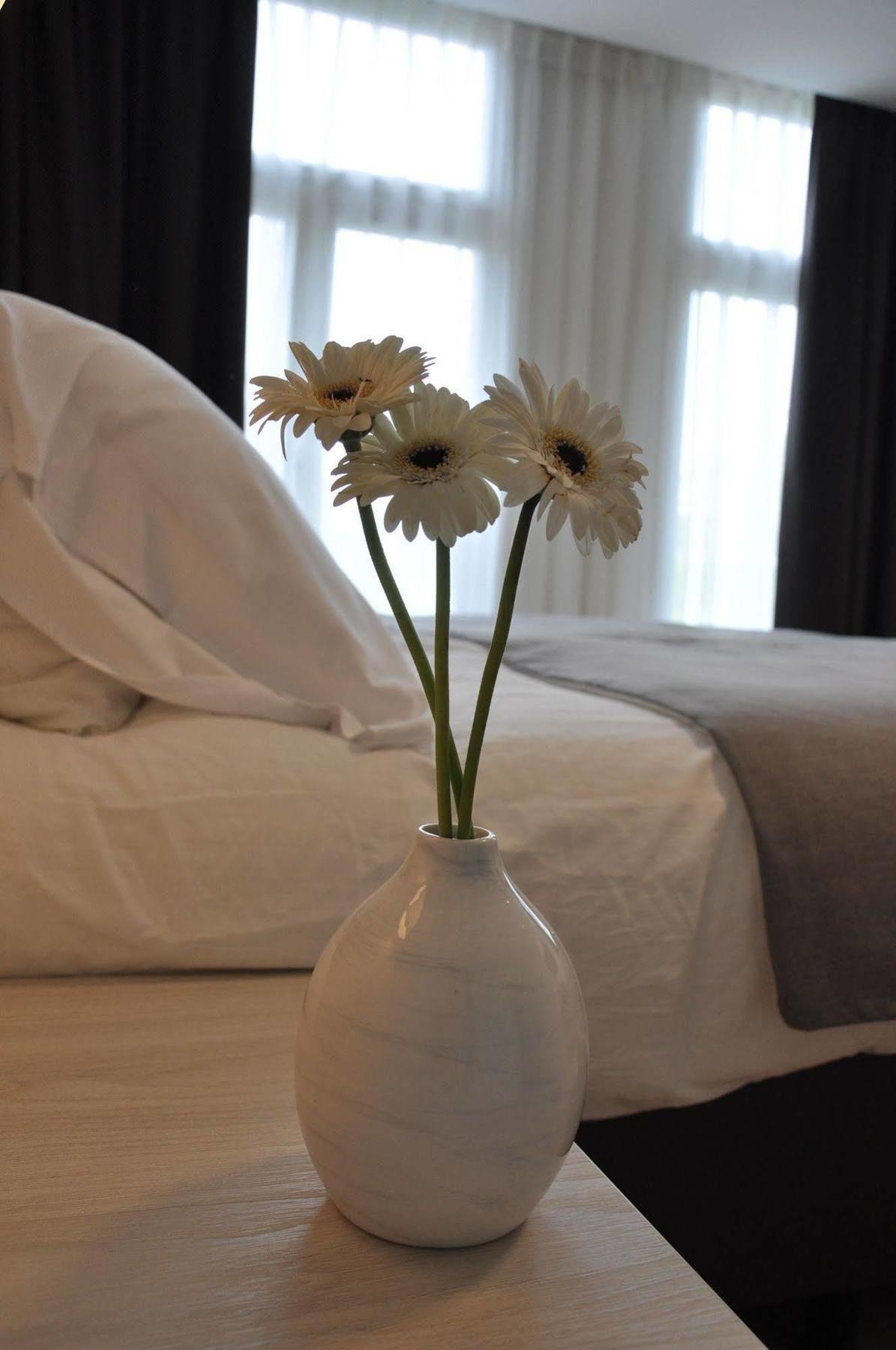 Adam Hotel 4*