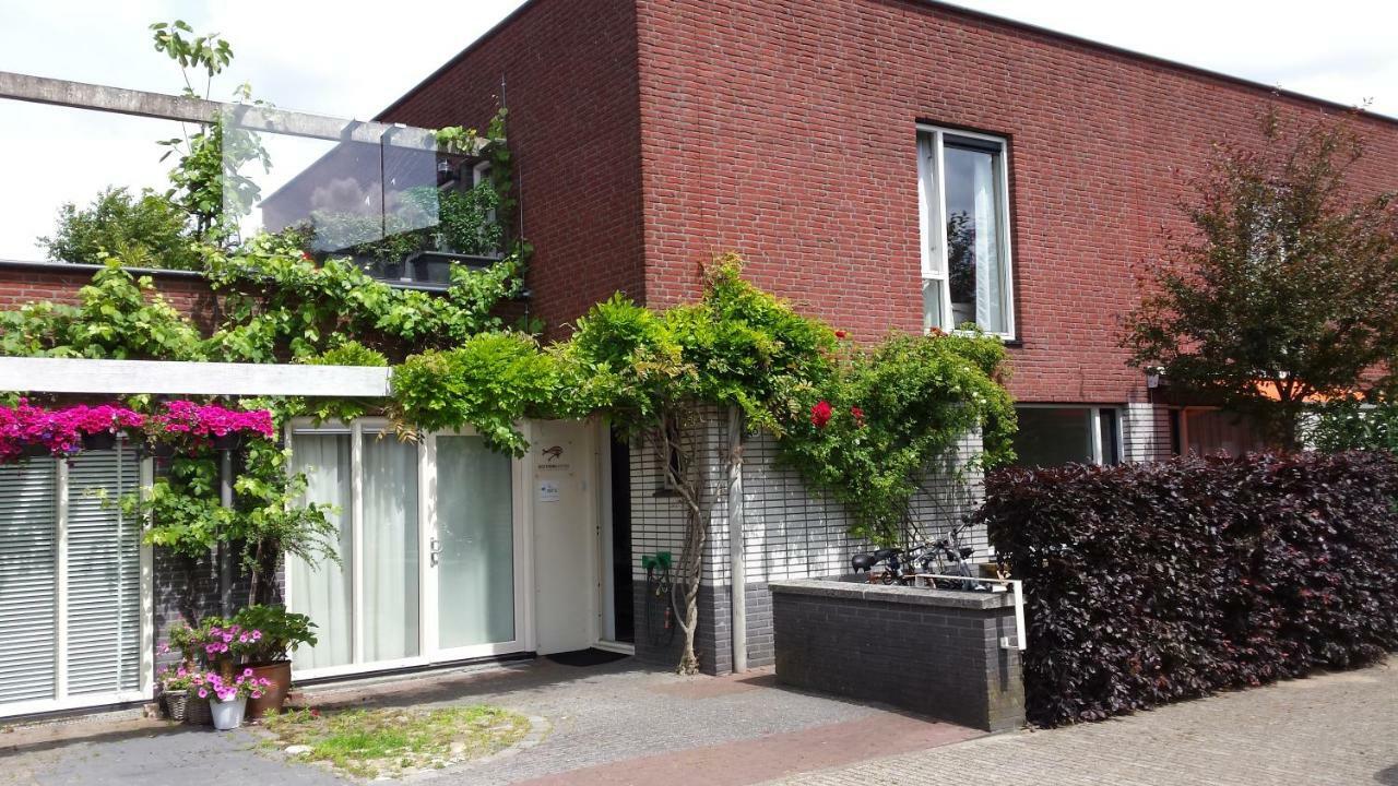 Accommodatie bij particulieren Royale En Schone Met Dakterras