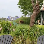 Bed And Stay Amsterdam