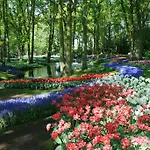 Short Stay Group City Park Serviced Apartment Amsterdam