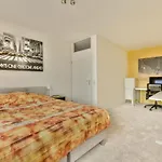 Duplex Amsterdam Island