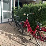 The Duck Of Amsterdam