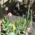 Bed&Breakfast De Noordeling