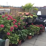 Afroditekade 68