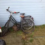 Het Witte Huis