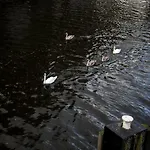 Sweets - Kattenslootbrug