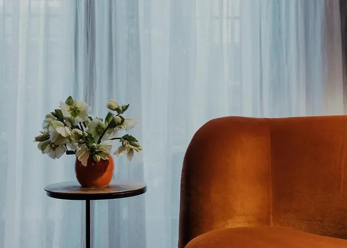 suite no 7
