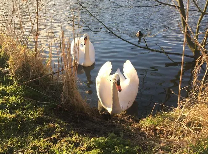 Amsterdam Reigersbos