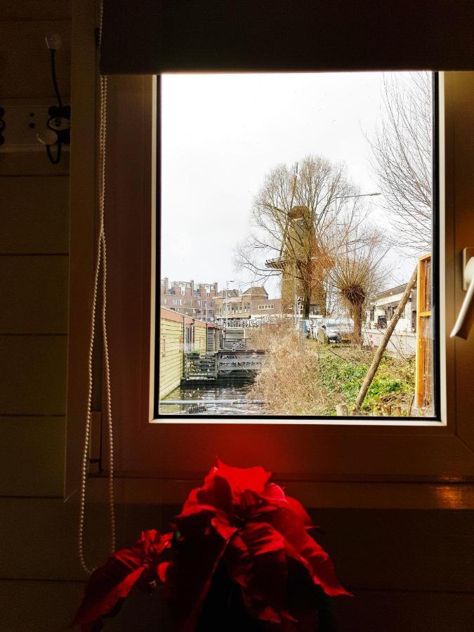 Lior Amsterdam