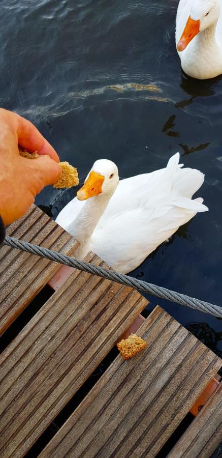 Romantic Quiet On The Canal Amsterdam