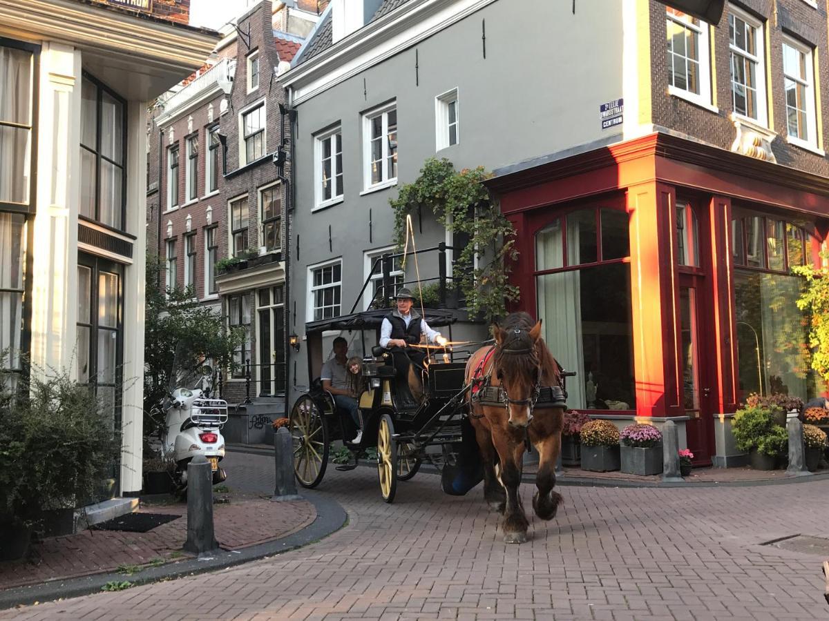 The African Lily Bed & Breakfast Amsterdam