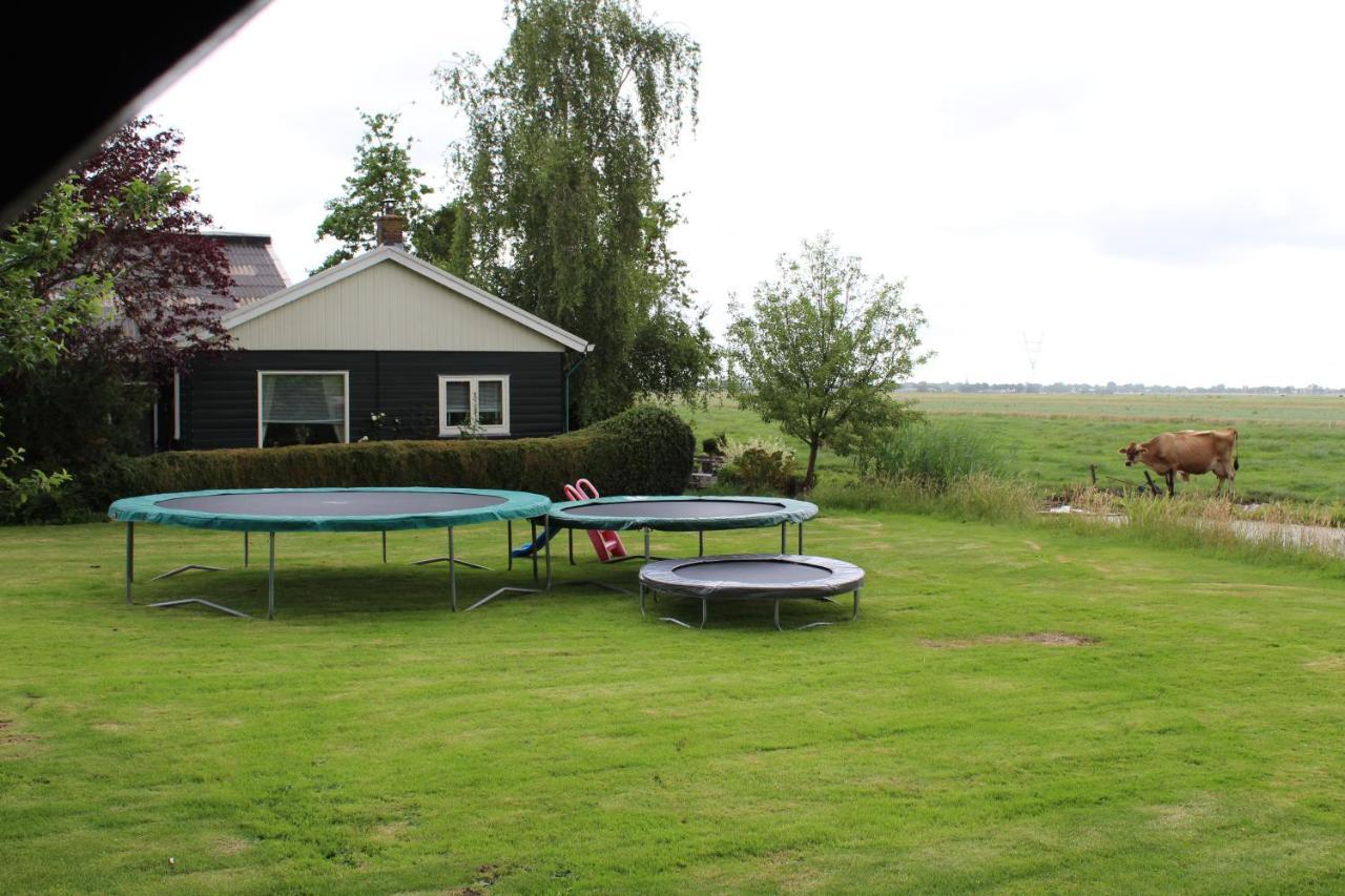 Bed And Bed & Breakfast Amsterdam