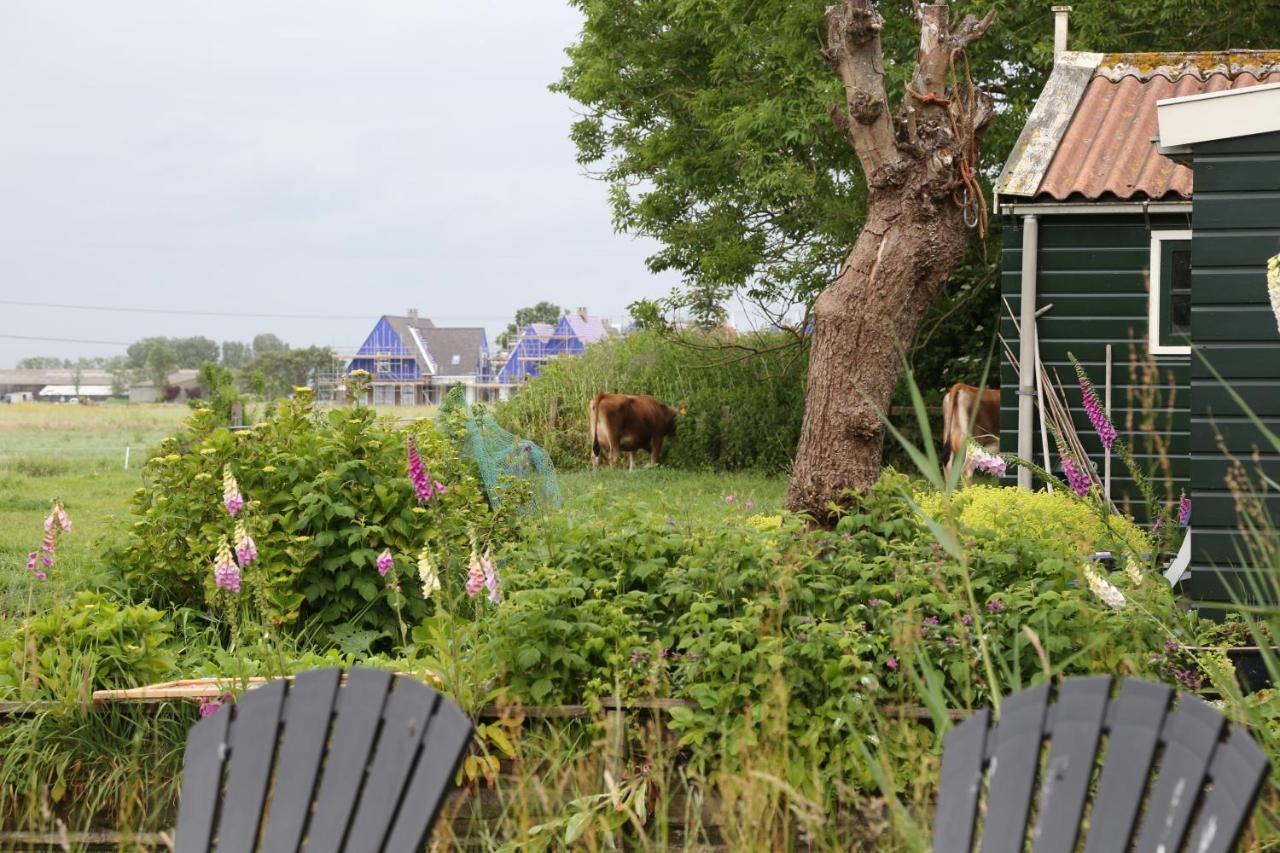Bed & Breakfast Bed And Amsterdam