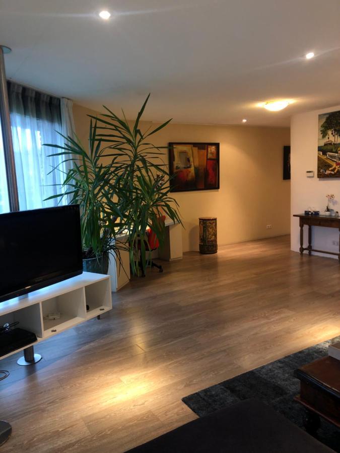 Lounge Park Apartment *
