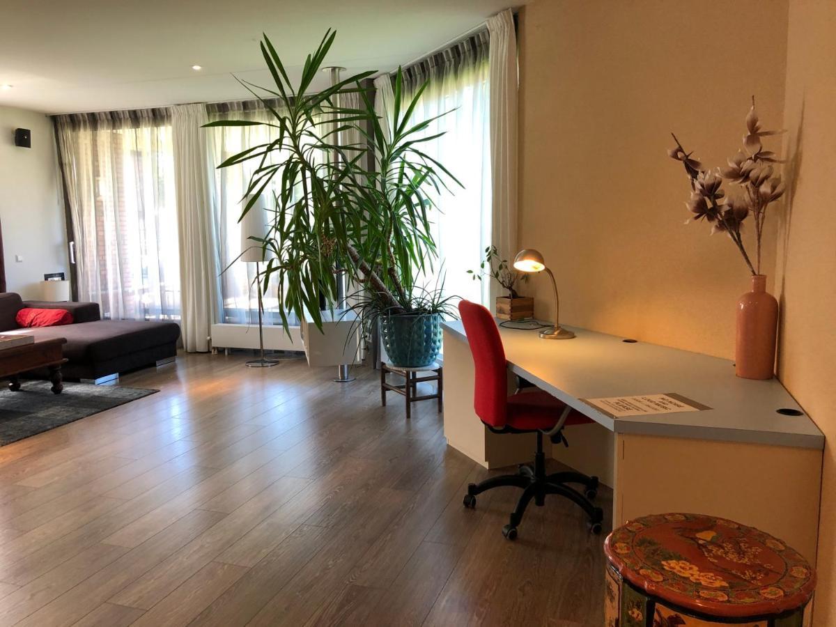 Apartment Lounge Park
