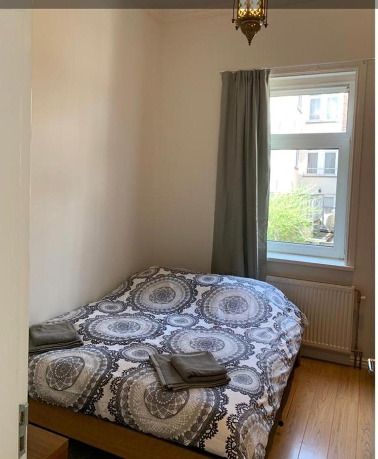 Accommodatie bij particulieren Lush