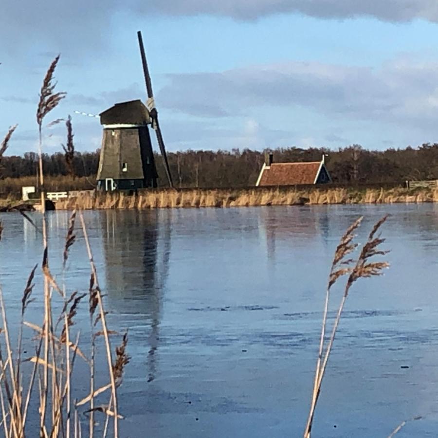 Twiske Zuid, *