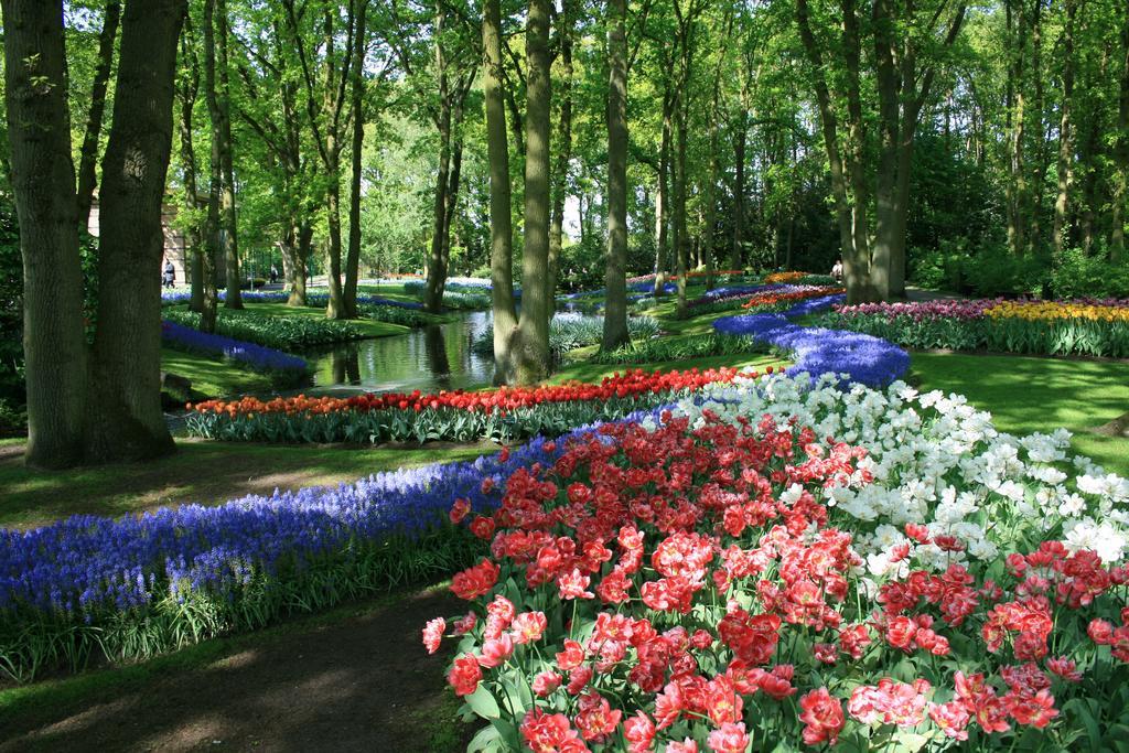 Short Stay Group City Park Serviced Apartment Amsterdam Amsterdam