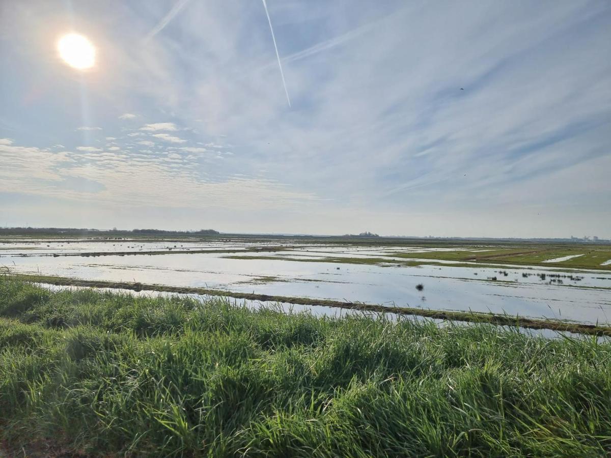Very In Durgerdam, With Private Garden, Free Parking, Pets Allowed Holiday home