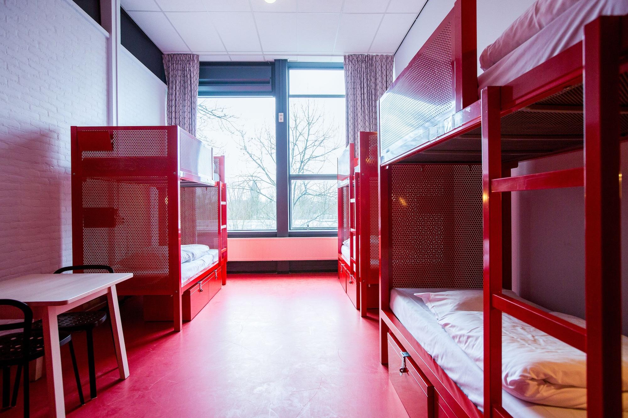 Wow Albergue