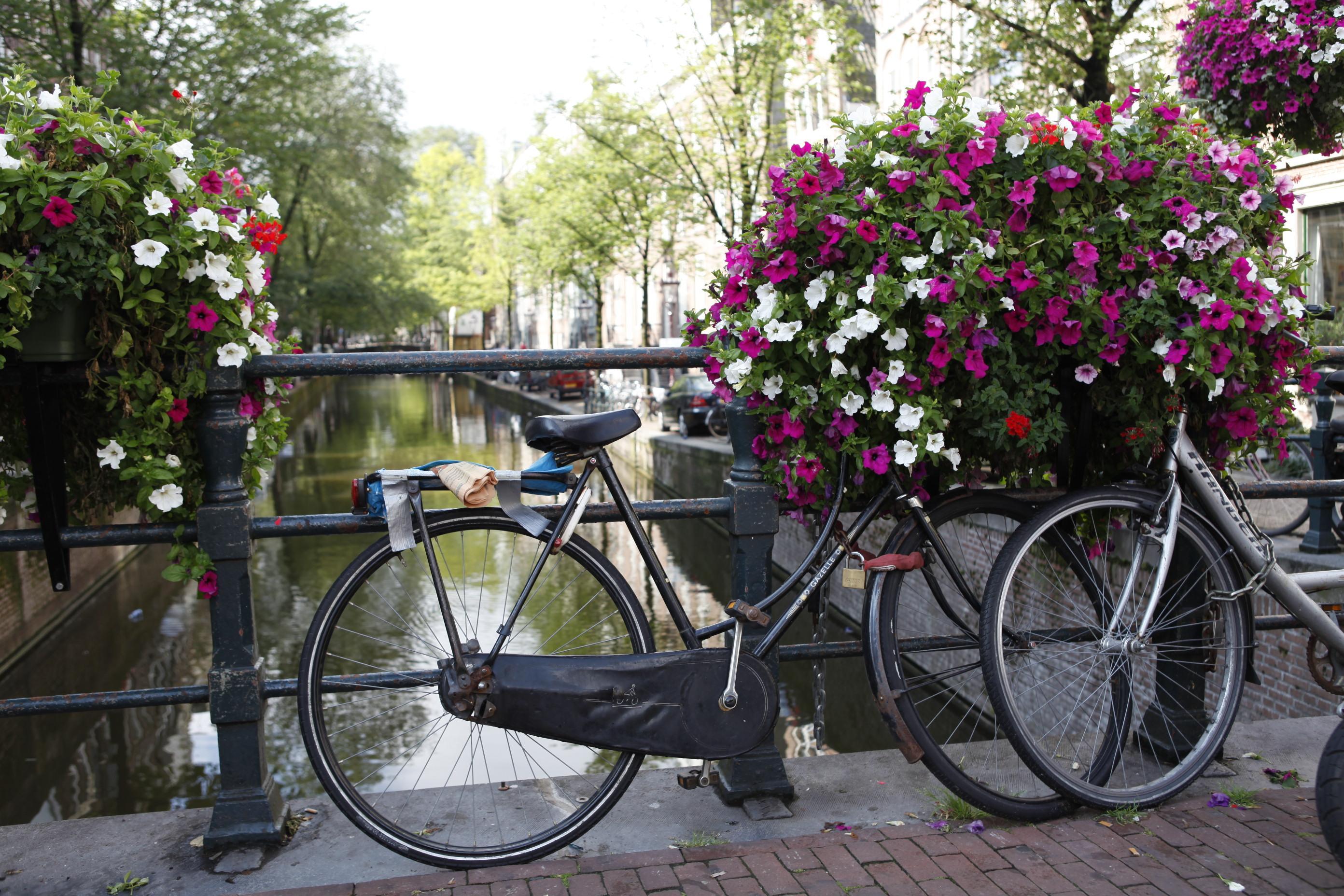 Hotel Damsquare 3*