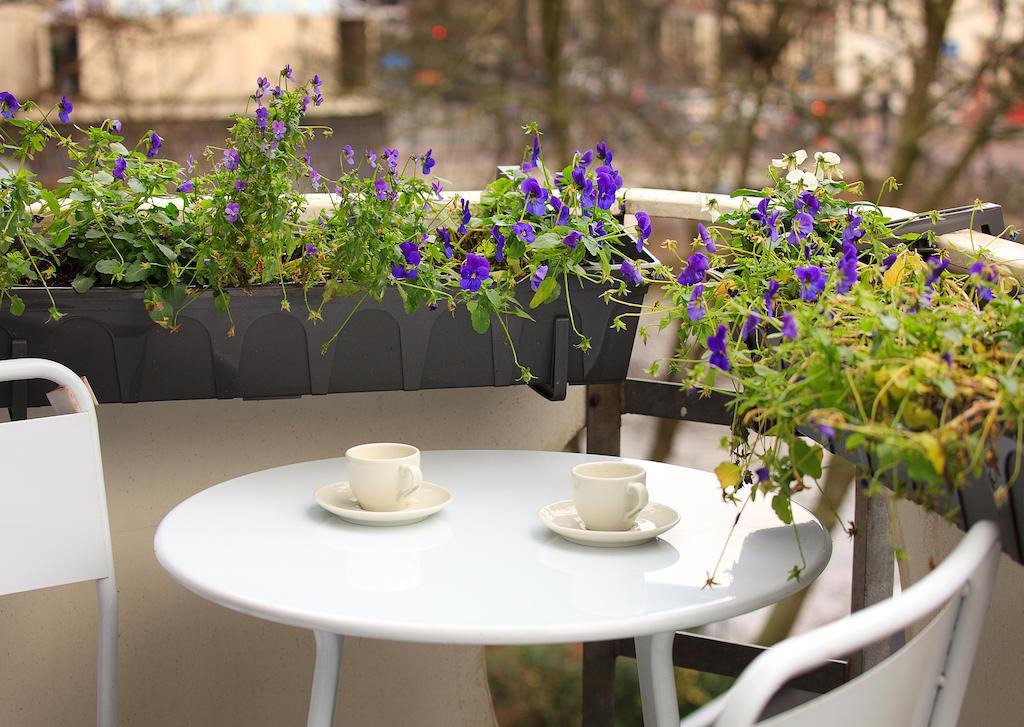 Blue Tulip Couette-café *