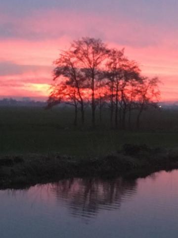 Guest house B&B Canal Sight 2*