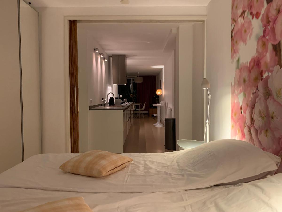 De Ontdekking Apartment *
