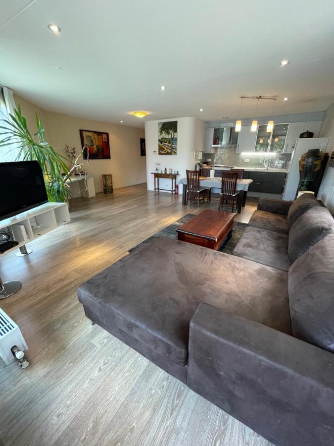 Apartment Lounge Park *