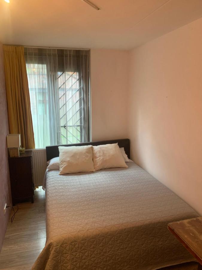 Lounge Park Apartment