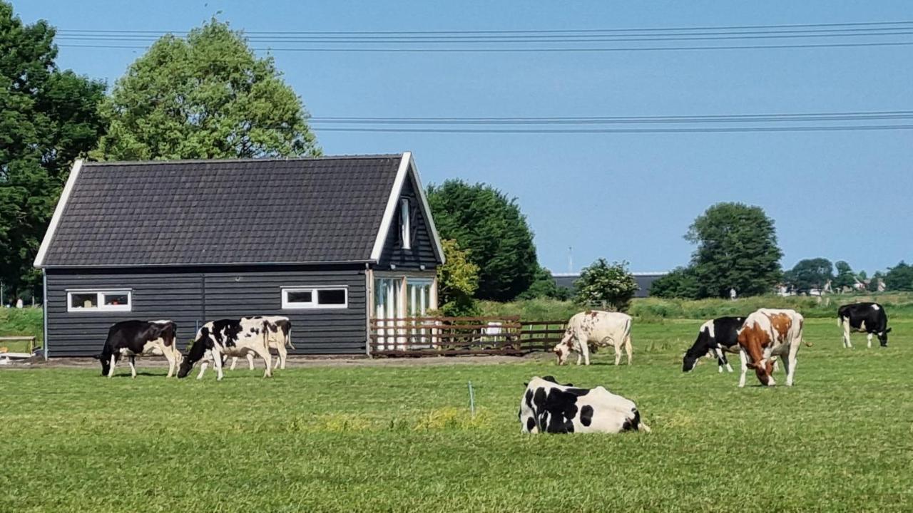 Farmers Lodge, A With A Skyline View In Rural Vakantiehuis *