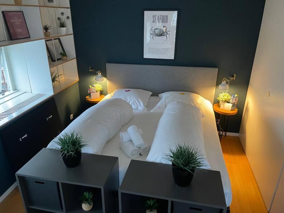 Awesome Rooftop Penthouse With Large Terrace * Amsterdam