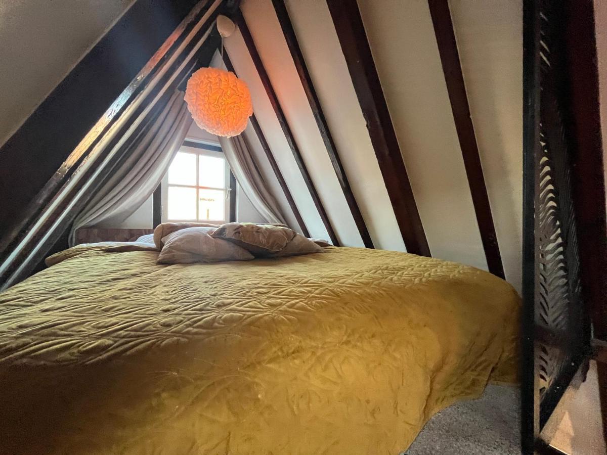 The Enlightened House Luxury *
