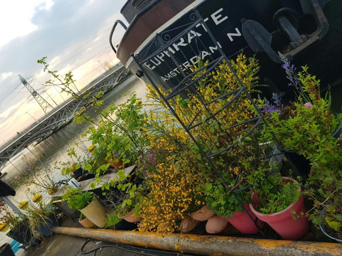 Whole Wheelhouse Euphrate Houseboat Bed & Breakfast *