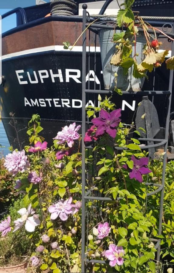 Bed & Breakfast Whole Wheelhouse Euphrate Houseboat *