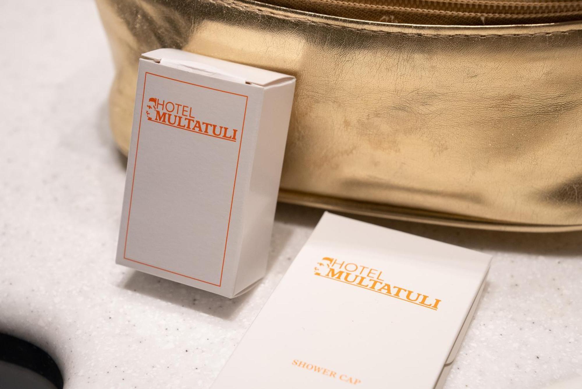 Multatuli Hotel 3*