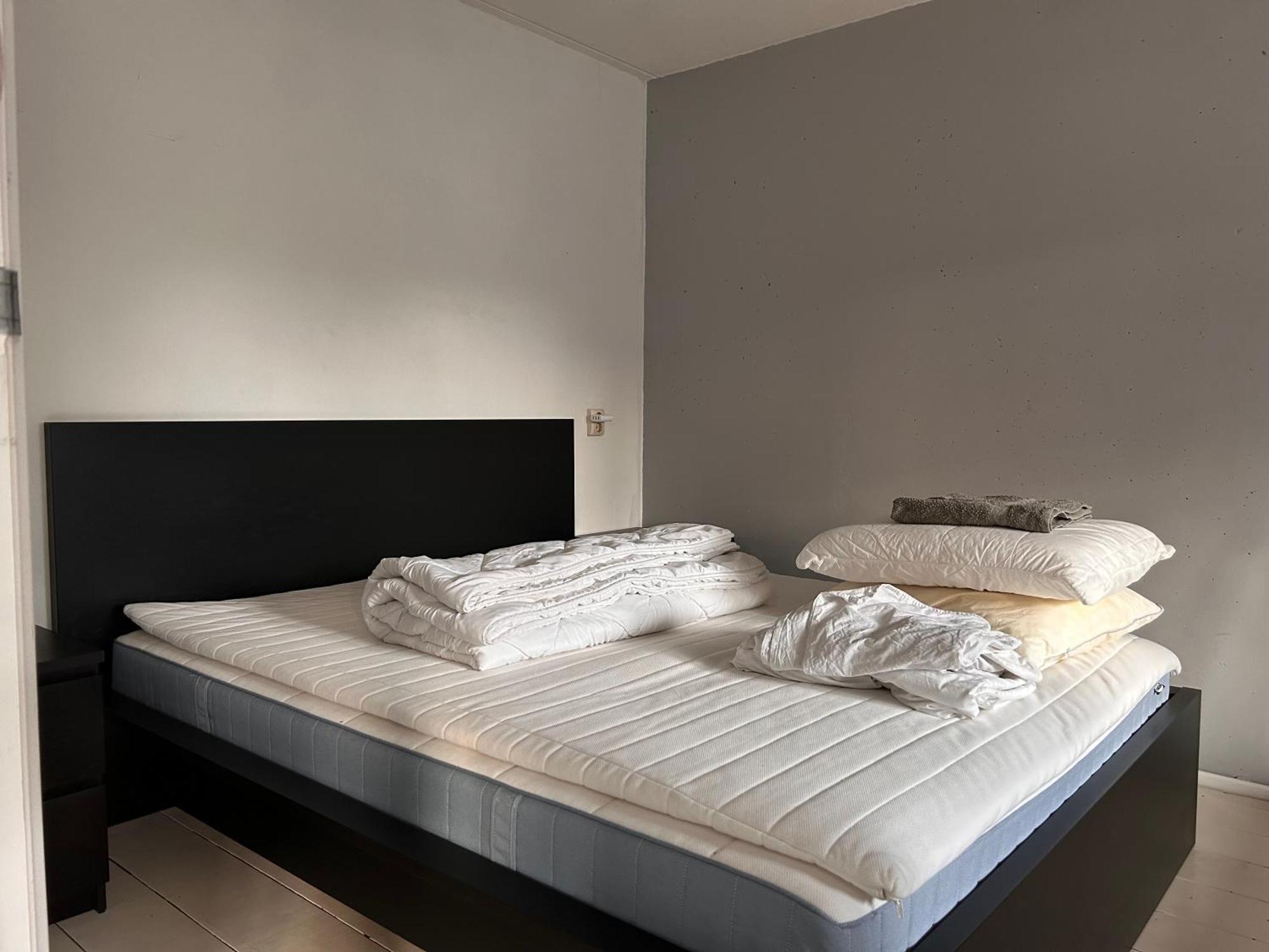 Homestay Properties *