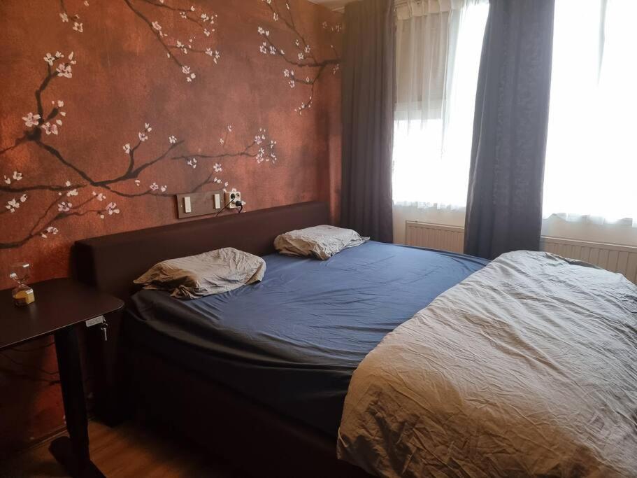 500-mb Hi-tech Silent Work-home Homestay