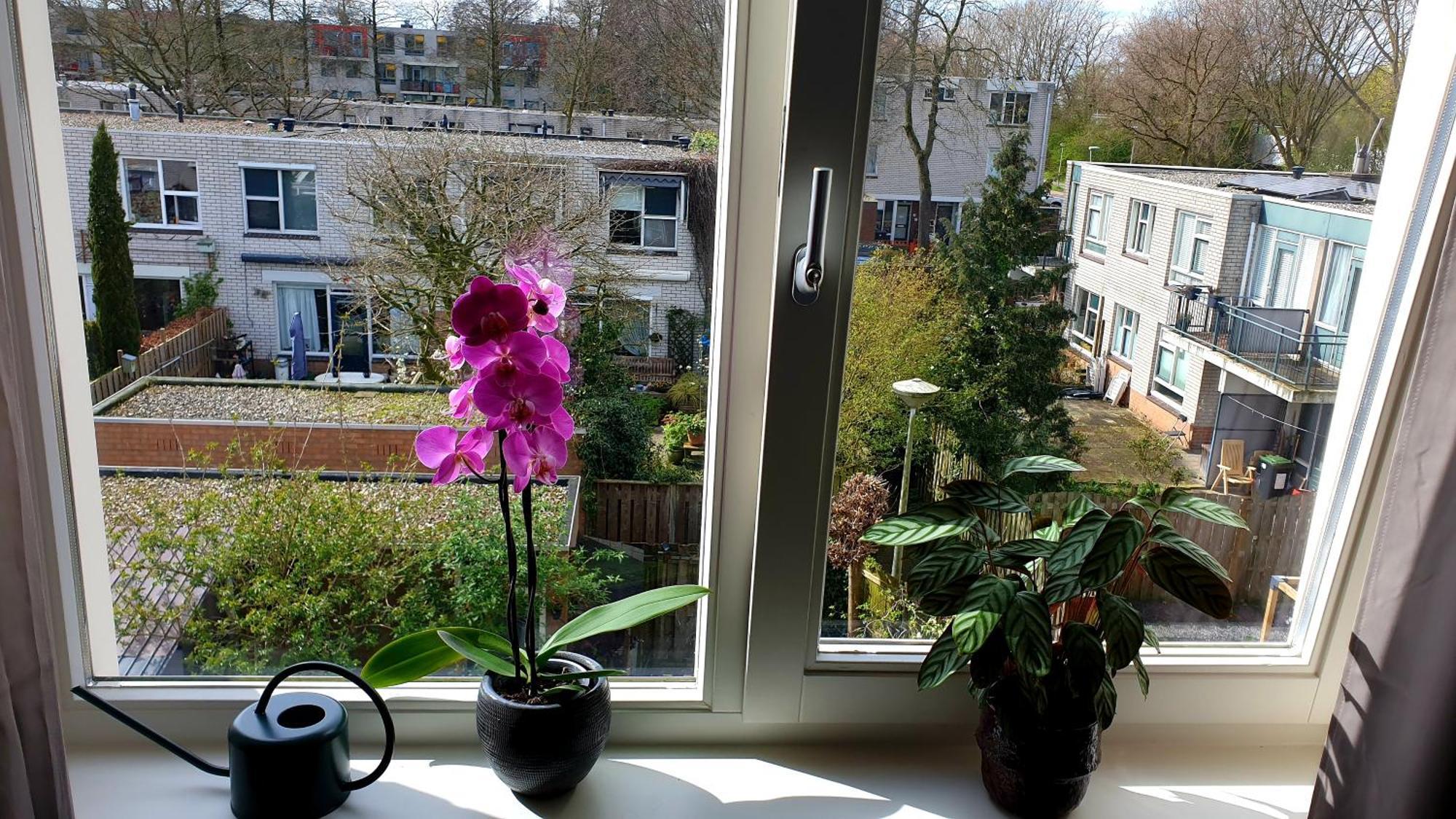 Amor Guesthouse Bed & Breakfast