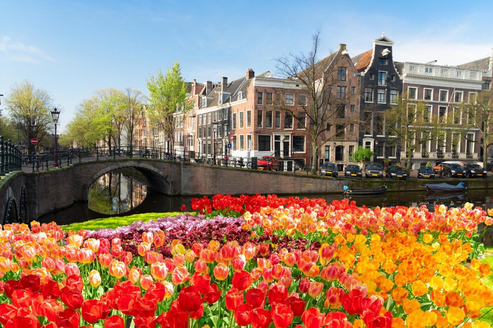 House With 2 Private Independent Studio's 120 M2 Appartement Amsterdam