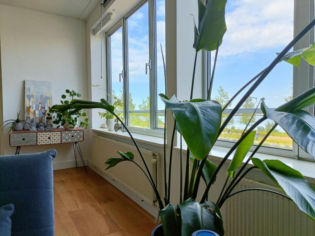 Apartment Spacious 12 Min To Center By Tram *