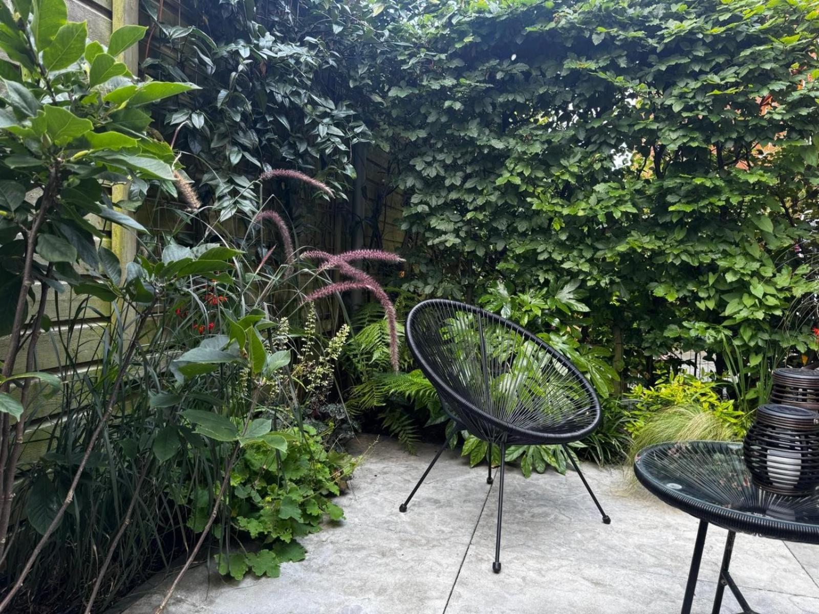 Urban Oasis *