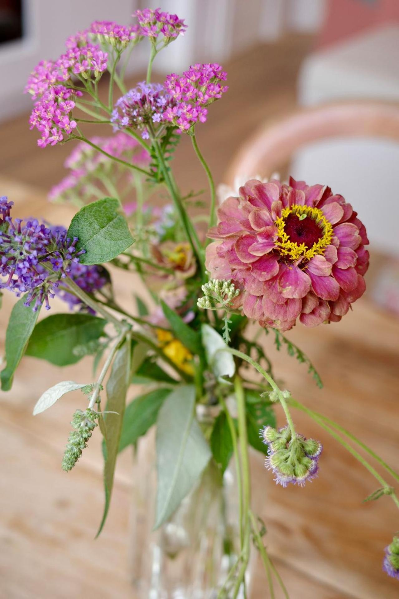 Colorful And Beautiful In The Jordaan! Apartment *
