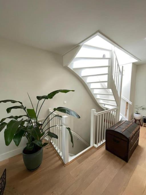 Spacious Apt In The Pijp Apartment