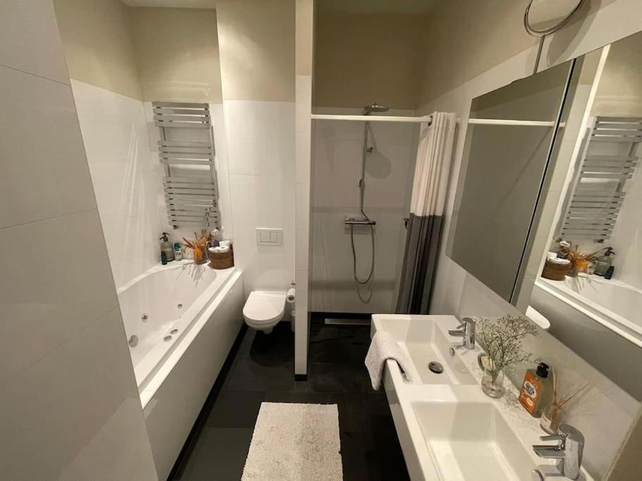 Apartment Spacious Apt In The Pijp Amsterdam